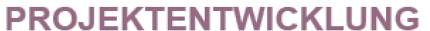 Projektentwicklung