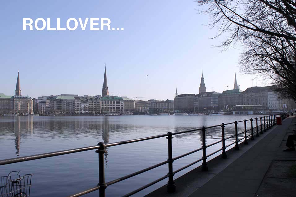 Rollover-Alsterblich