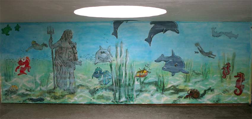 vorher-nachher-Bilder